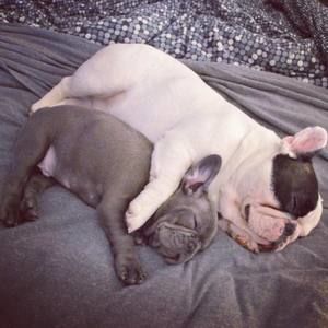 Meet your Posher, Jon